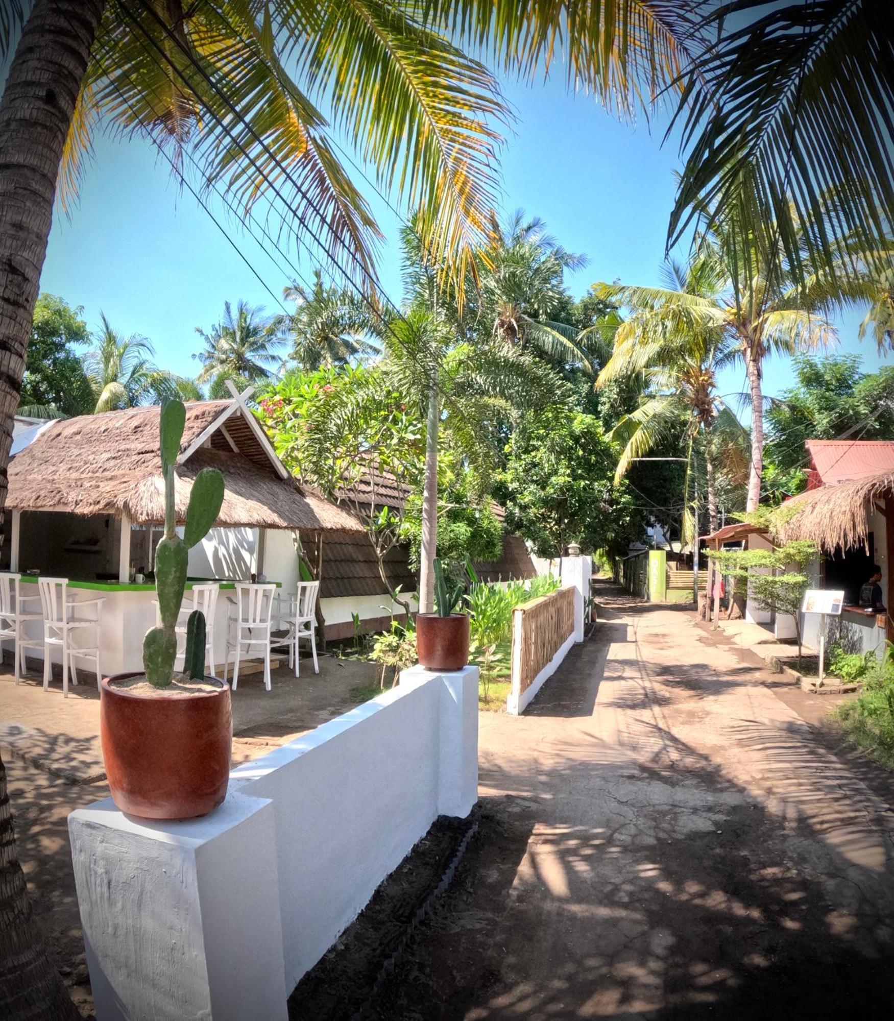Kaktus Bungalow 2 Gili Air Eksteriør billede